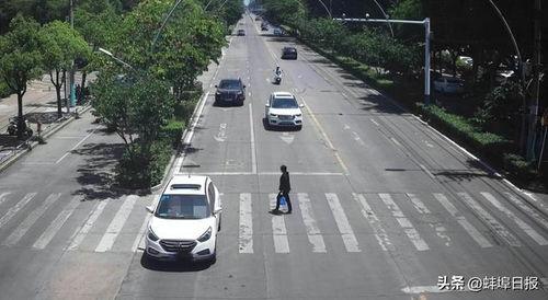 蚌埠爆料交警事件最新情况,真相大白，官方回应引关注